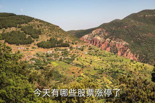 今天什么股票上涨，现在什么股票有涨势