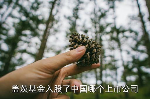 比尔盖茨投资什么股票，比尔盖茨现在持的股6000亿美元是数字还是钱