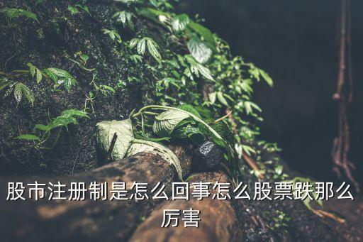 股市注册制是怎么回事怎么股票跌那么厉害
