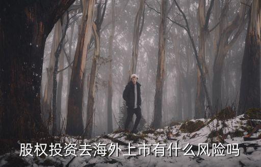 买入外国股票有什么风险，在中国可不可以买外国公司的股票