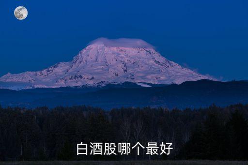 白酒股哪个最好