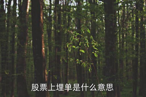股票埋单是什么意思，股票上埋单是什么意思