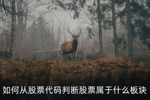 如何从股票代码判断股票属于什么板块
