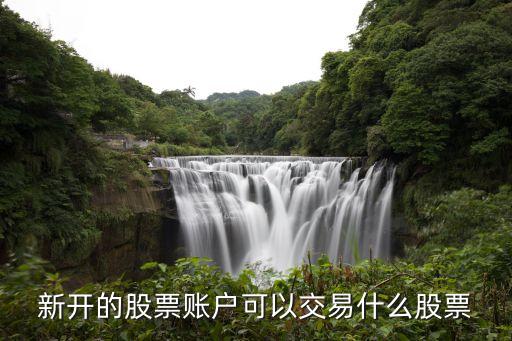 新开的股票账户可以交易什么股票