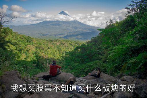 目前股票该买什么板块，现在买股哪个板块最好