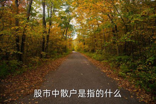 股市中散户是指的什么