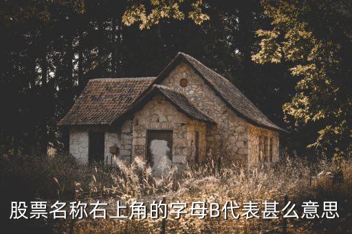 股票名称右上角的字母B代表甚么意思