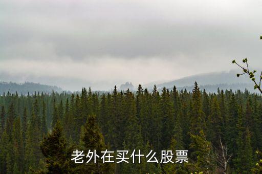 老外在买什么股票