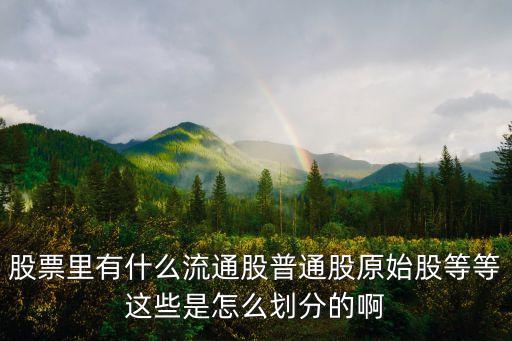 股票里有什么流通股普通股原始股等等这些是怎么划分的啊
