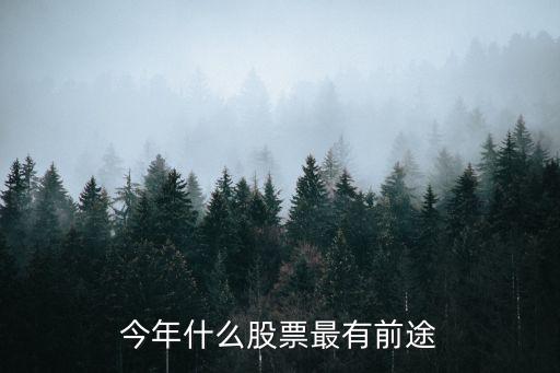 今年什么股票最有前途