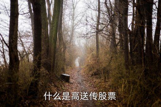 什么是高送传股票