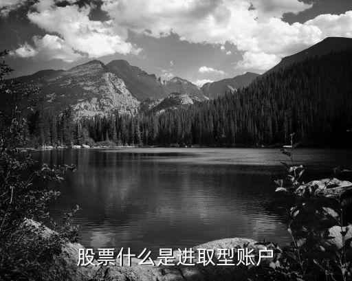 股票什么是进取型账户