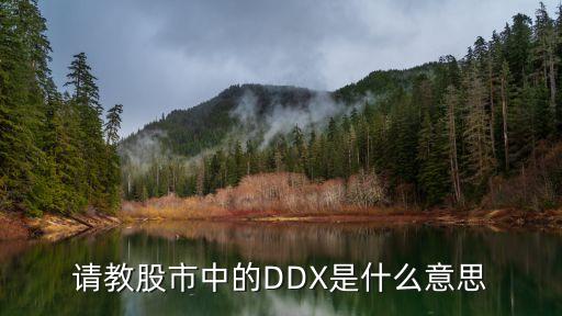 请教股市中的DDX是什么意思