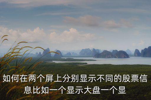 如何在两个屏上分别显示不同的股票信息比如一个显示大盘一个显