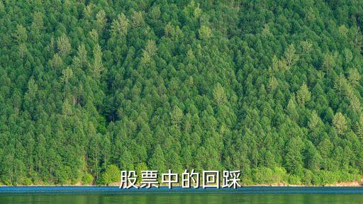 股票中的回踩