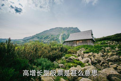 高增长型股票是甚么意思