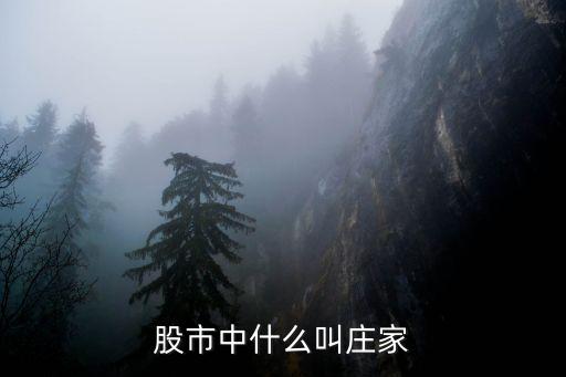 什么是股票的庄家，股票的庄家是指
