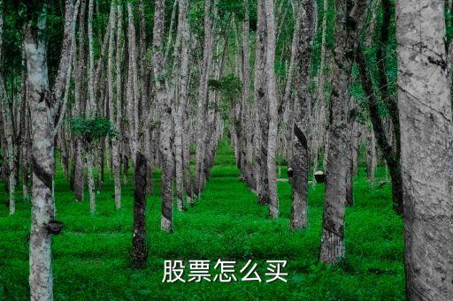 股票怎么买