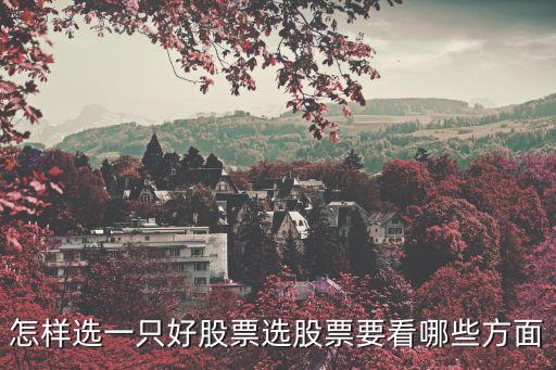 怎样选一只好股票选股票要看哪些方面