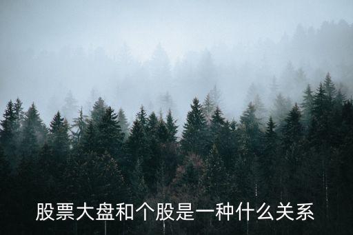 股票大盘和个股是一种什么关系
