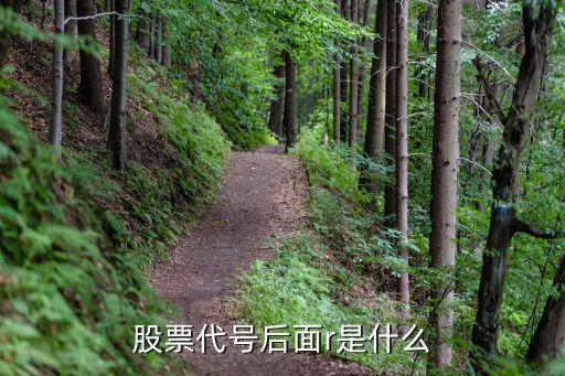 股票代号后面r是什么，股票代号后面r是什么