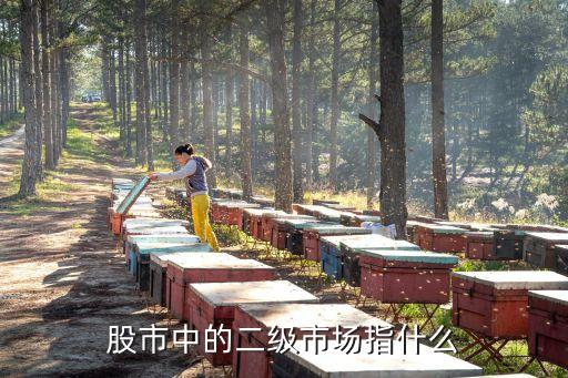 股市中的二级市场指什么