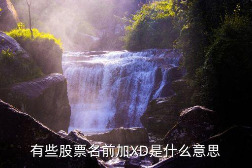 有些股票名前加XD是什么意思