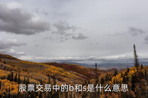 股票 b和s什么意思，股票S和B代表什么意思
