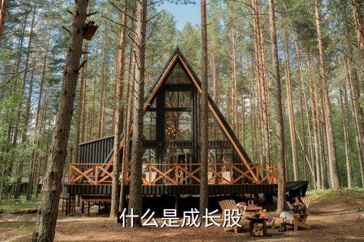 什么是成长股