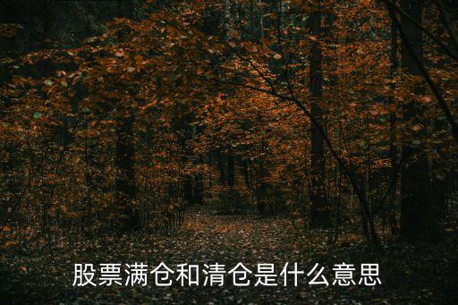 股票满仓和清仓是什么意思