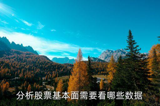 分析股票基本面需要看哪些数据
