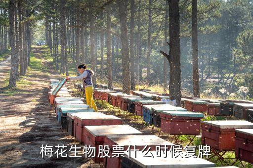 梅花生物股票什么时候复牌