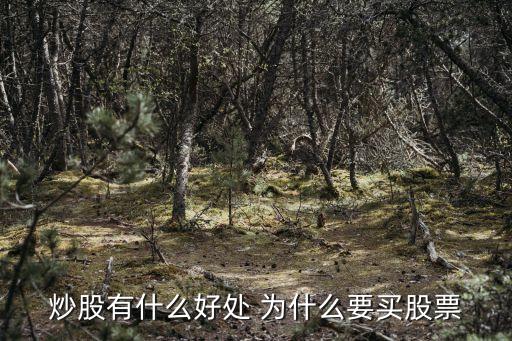 炒股有什么好处 为什么要买股票