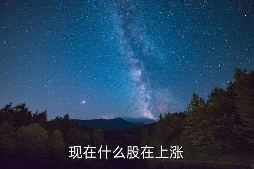 现在什么股在上涨