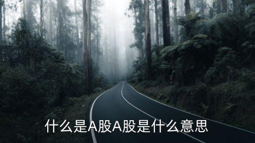 中国股票什么股，现在股票买什么股好
