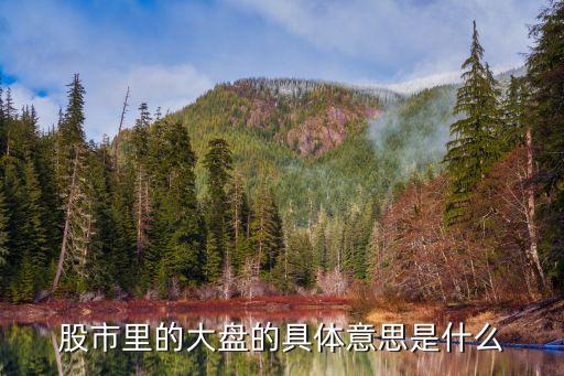 股票中大盘什么意思，什么叫股票的大盘