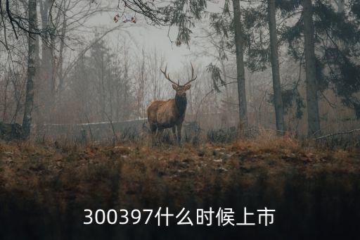 300397什么时候上市