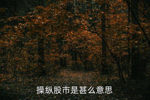 操纵股市是甚么意思