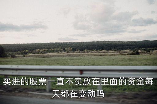 买进的股票一直不卖放在里面的资金每天都在变动吗