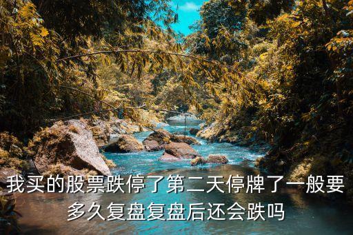 我买的股票跌停了第二天停牌了一般要多久复盘复盘后还会跌吗