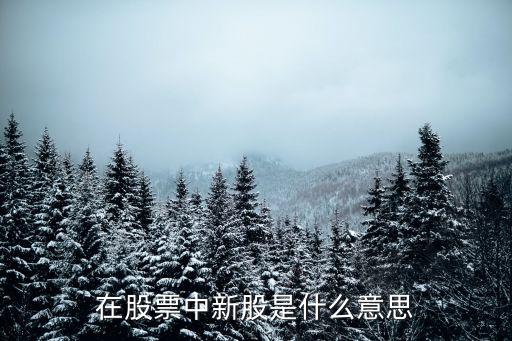在股票中新股是什么意思