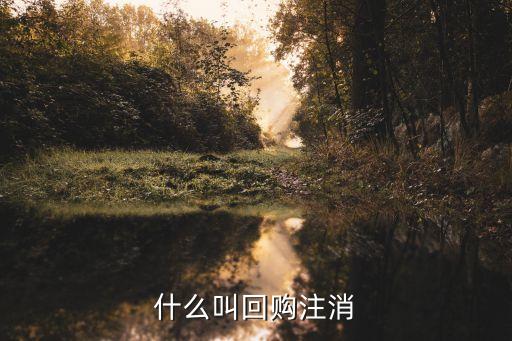 回购股票注销是什么操作，会计从业资格 回购股票与注销股票是个什么过程