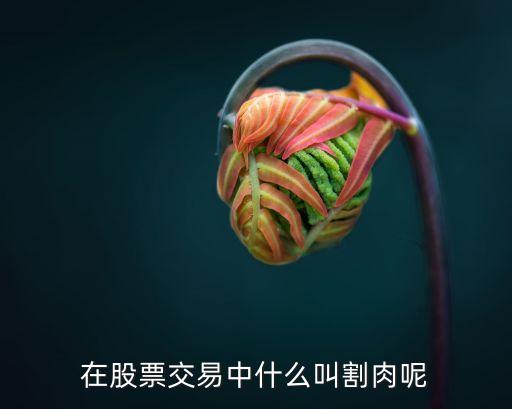在股票交易中什么叫割肉呢