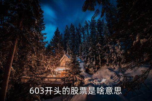 603开头的股票是啥意思