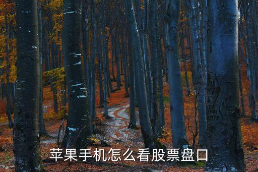 苹果手机怎么看股票盘口