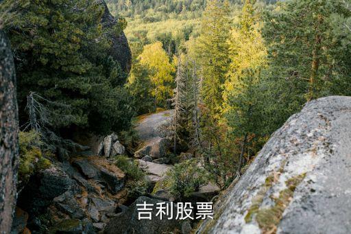 吉利股票代码是什么，吉利股票