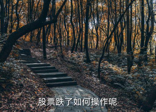 股票下跌应该做什么，股票大跌股民应该做点什么呢