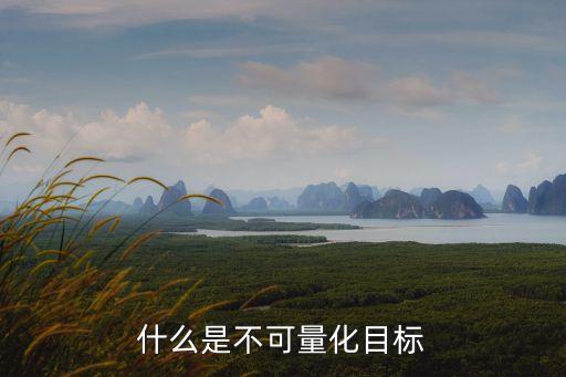 股票量化的目标是什么，什么是不可量化目标