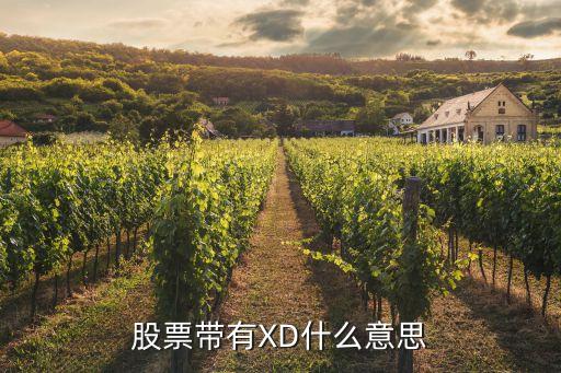 股票xd表示什么，股票xd开头是什么意思