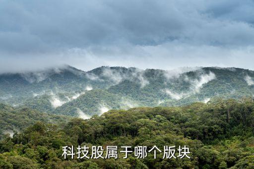 科技股属于哪个版块